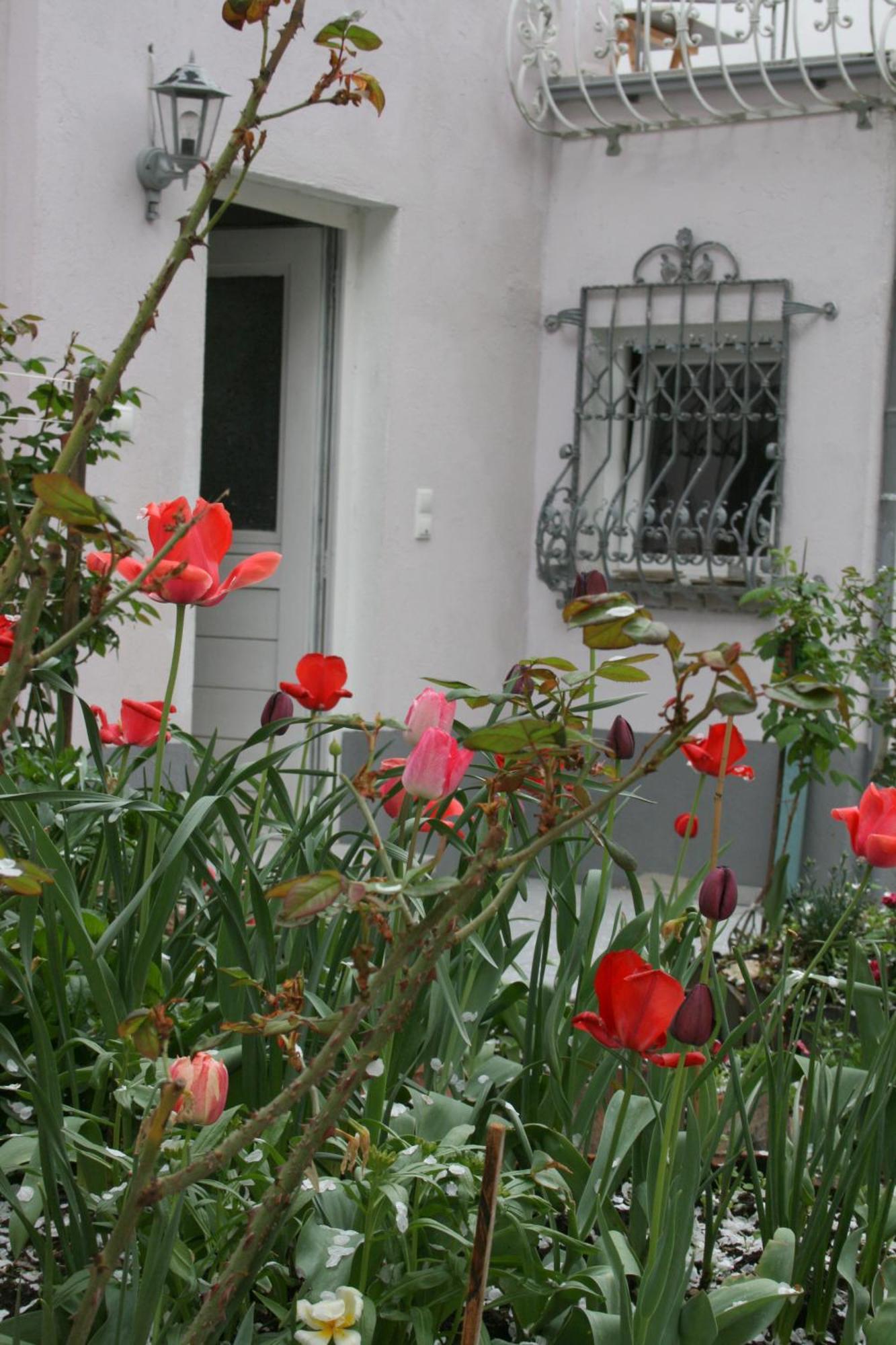 Ferienwohnung Appertment Im Garten Worms Exterior foto